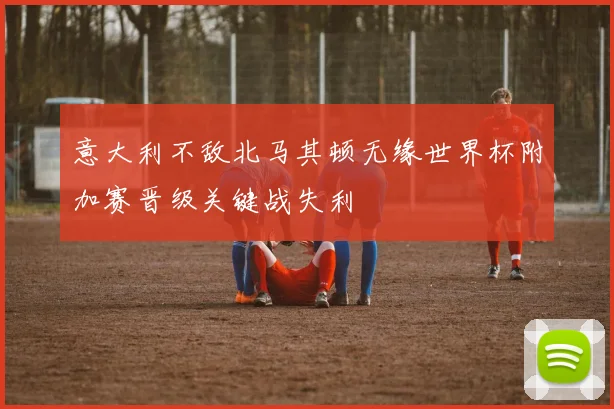 意大利不敌北马其顿无缘世界杯附加赛晋级关键战失利